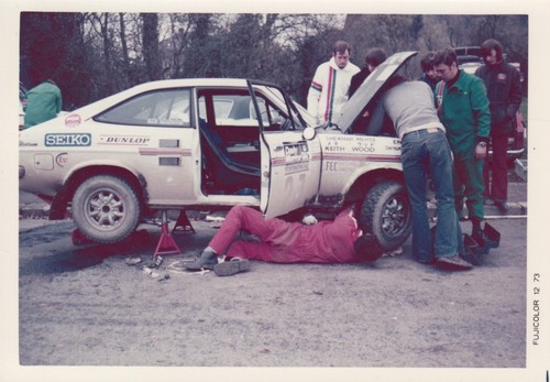 Datsun sunny team car - datsun,
